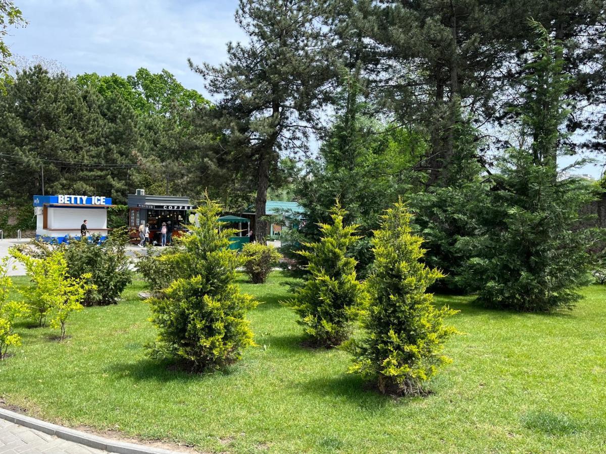 Dendrarium Park Apartment Chisinau Eksteriør bilde